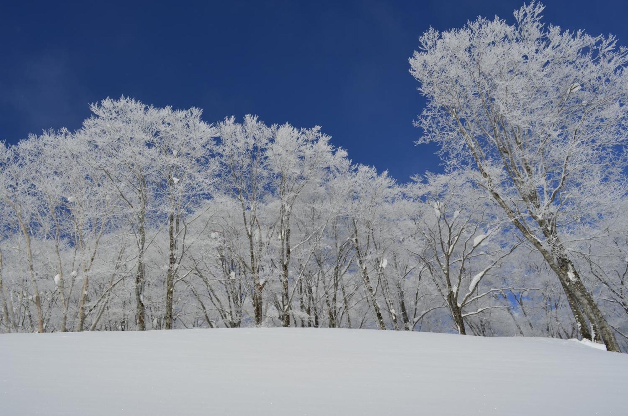 B&B Santana Hakuba Exterior foto